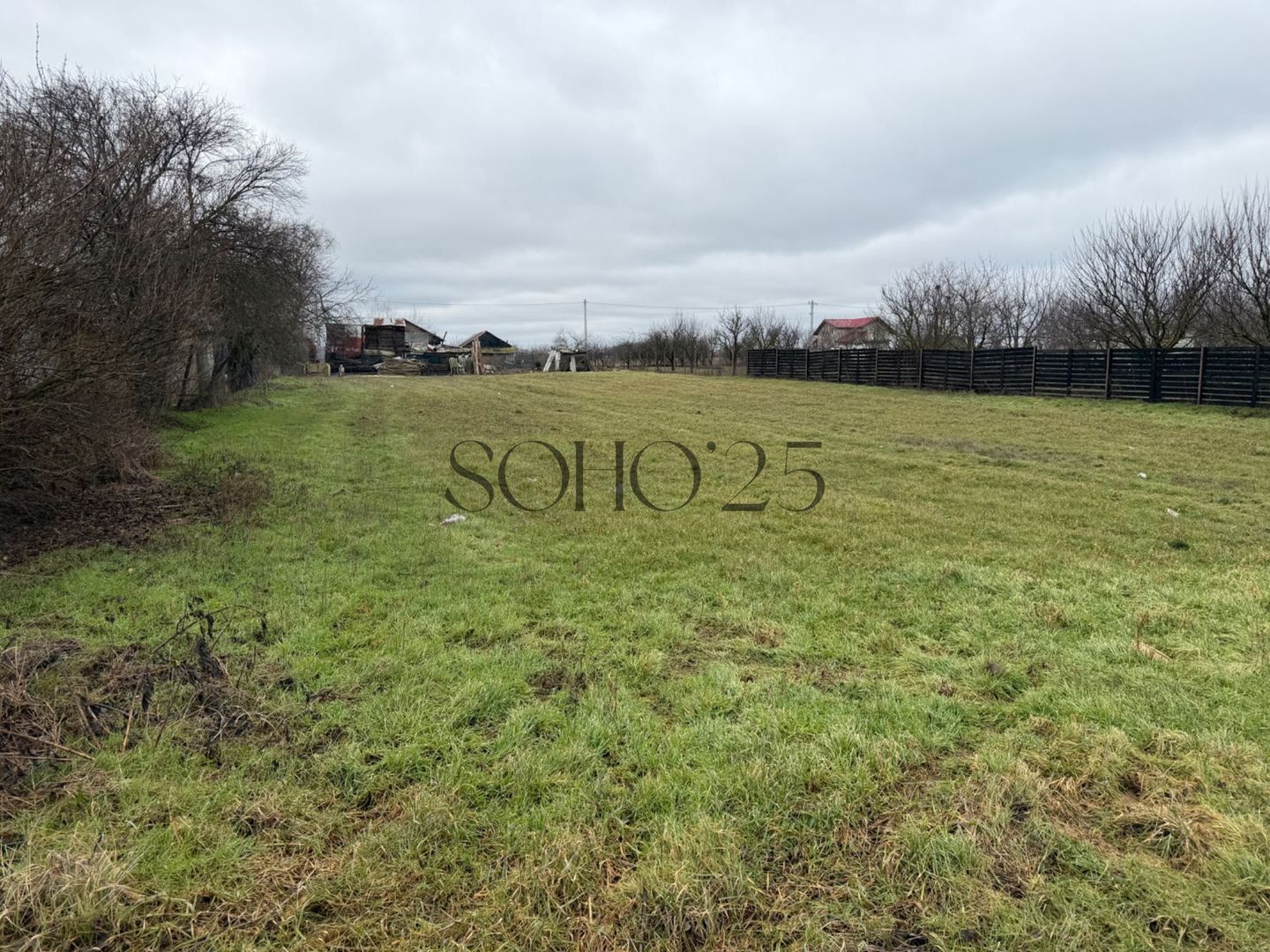 Teren de Vanzare Gradistea Sitaru - Poză 2