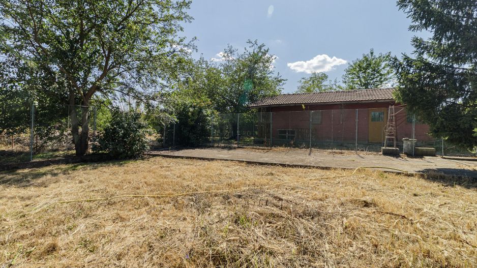 Domeniu privat 5.000 mp, cu reședință de 625 mp și piscină, Corbeanca - Poză 42