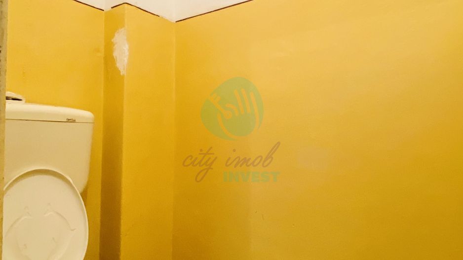 Casa singura in curte - Parcul Carol - Poză 11