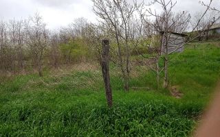 Casă și teren în Sat Cuza Vodă, comuna Popricani - Poză 2