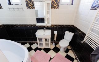 Chirie, casă, 4 camere, str. Prigoreni, Botanica - Poză 18