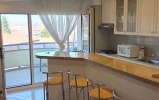 Ap 3 camere Primaverii vedere Herastrau - Poză 1