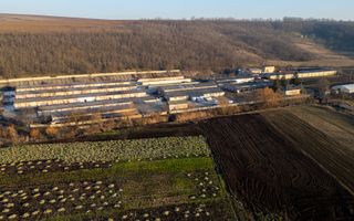 Fosta Ferma a Partidului de la Horgesti - de vanzare - Poză 21