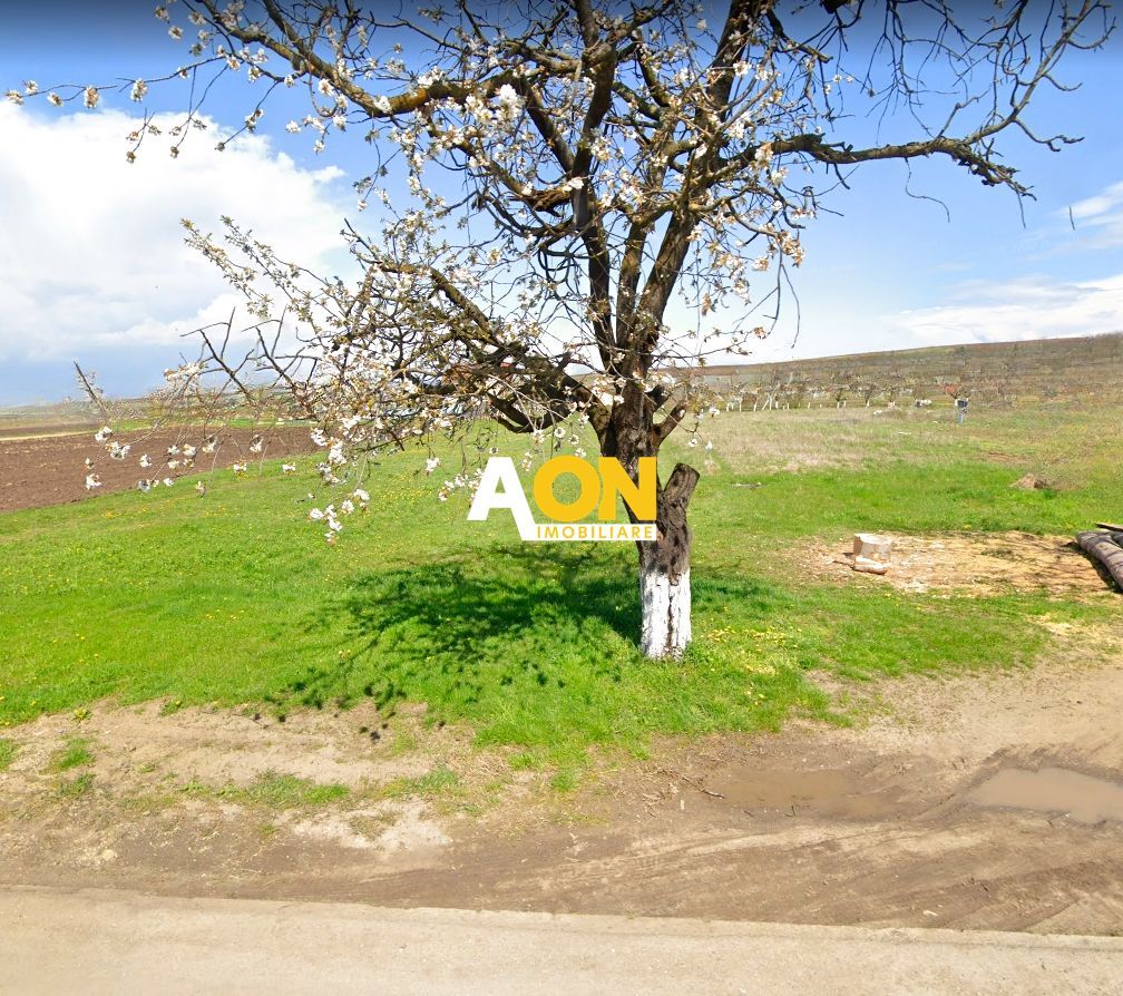 Teren intravilan, 3600 mp, la sosea, toate utilitatile, Oarda de Jos - Poză 1