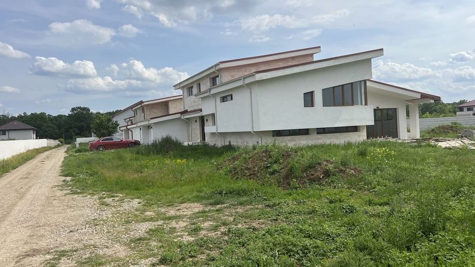 Vila Mediteraneană Buftea | Pădure - Poză 2