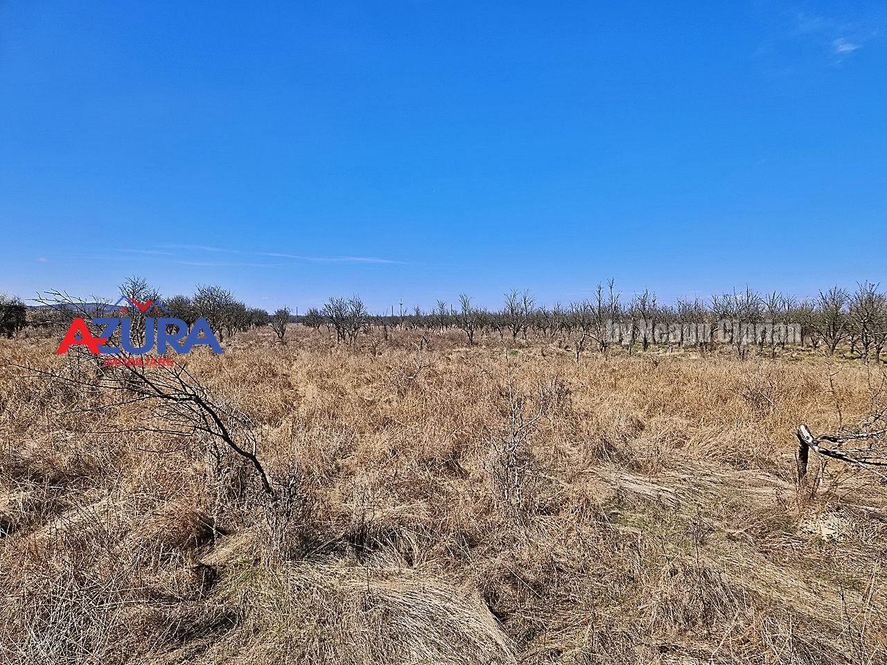 AZURA IMobiliare - Teren Iefin Bascov 3km de Giratoriu - Poză 6