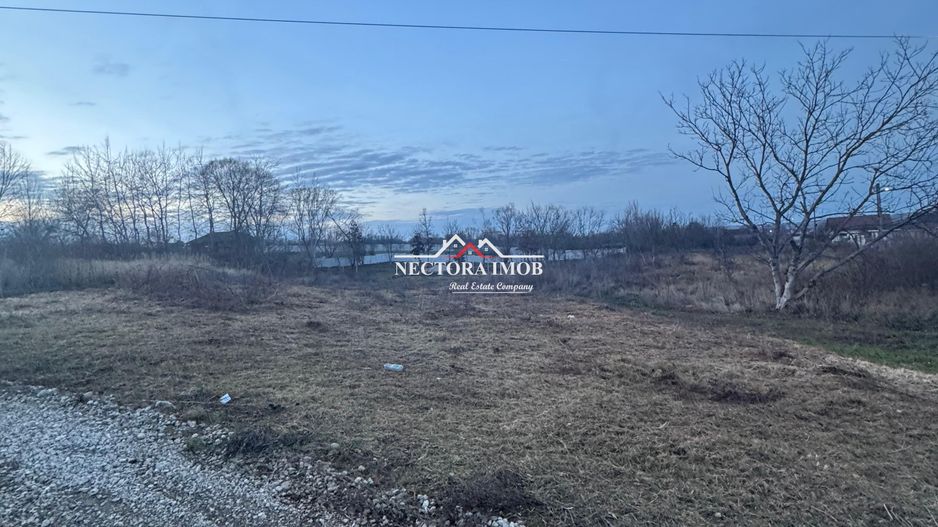 NECTORA IMOB-Teren Intravilan 647 mp, Dublu Front, Paleu, cu Utilitati - Poză 3