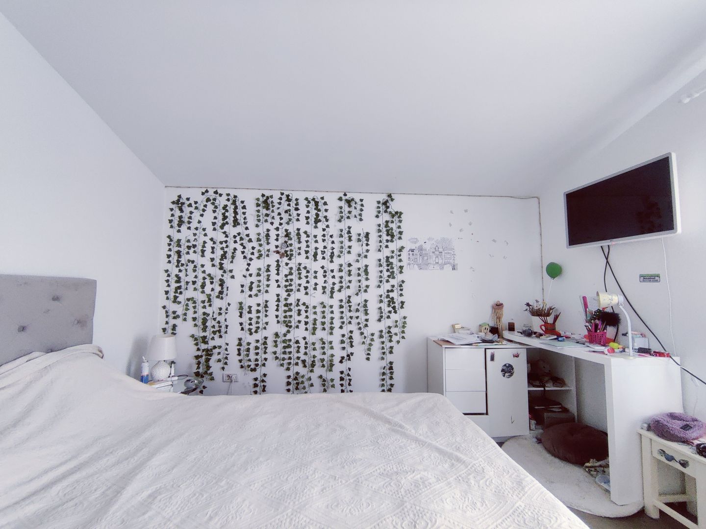 CASA  INDIVIDUALA SACALAZ 135 MP CU 476 MP TEREN - Poză 14