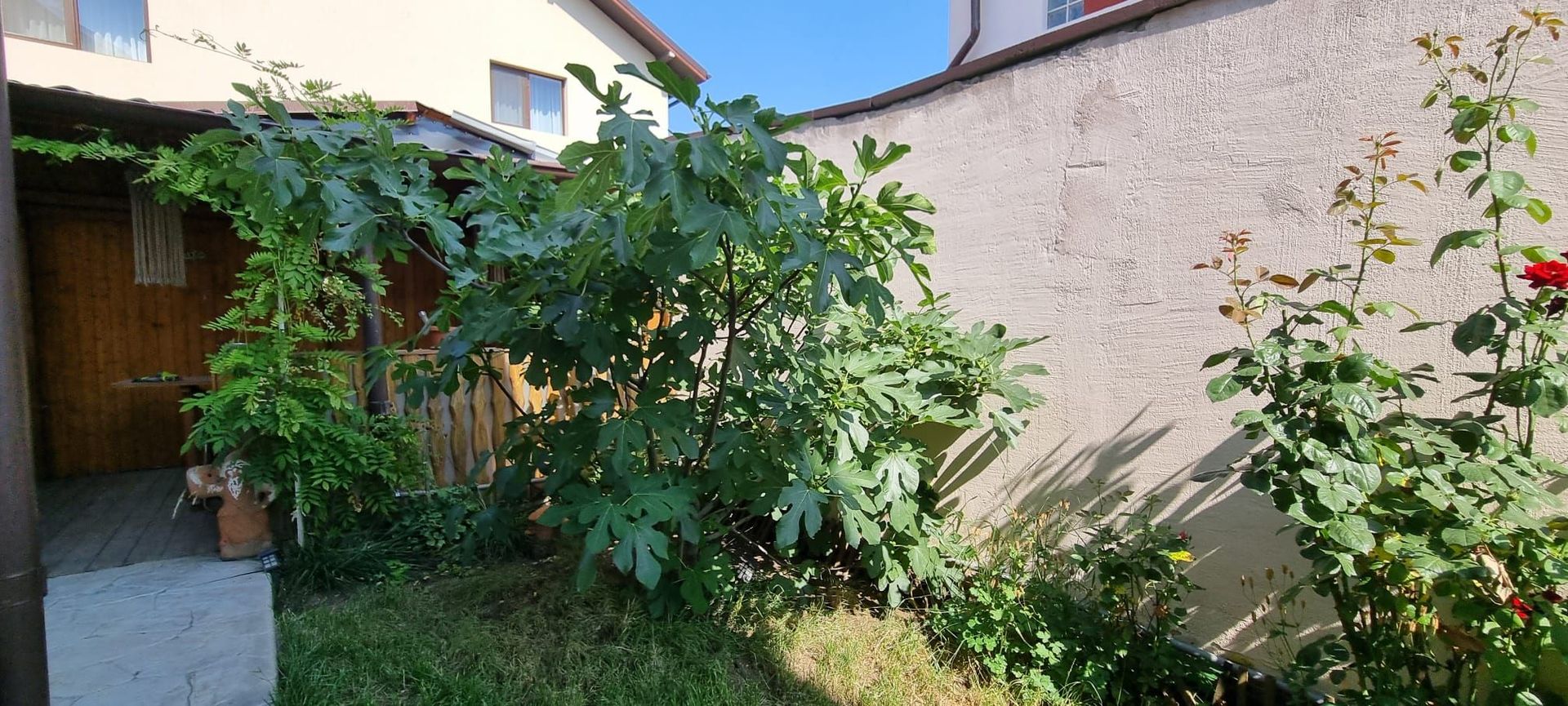 Casă individuală 4 camere - Poză 20