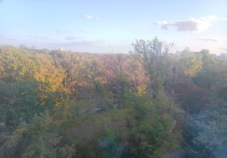 APARTAMENT 3 CAMERE VEDERE DIRECTA LA PARCUL FLOREASCA - Poză 2