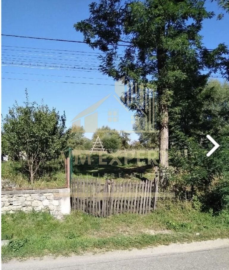 TEREN INTRAVILAN 5000 MP, BRADULET, ARGES - Poză 1