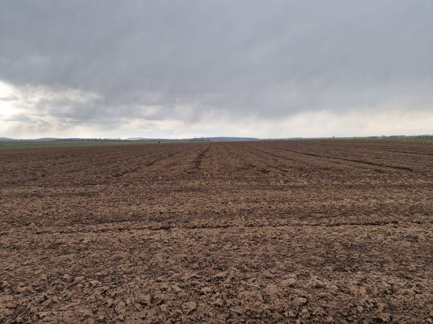 Teren 10,000mp Bacau / Strada Alexandru Safran - Poză 5