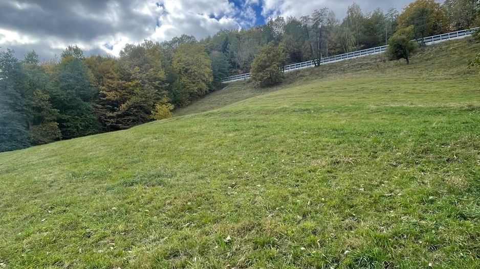 Teren extravilan cu priveliste catre Bucegi – Moieciu de Jos 4.700 mp - Poză 9