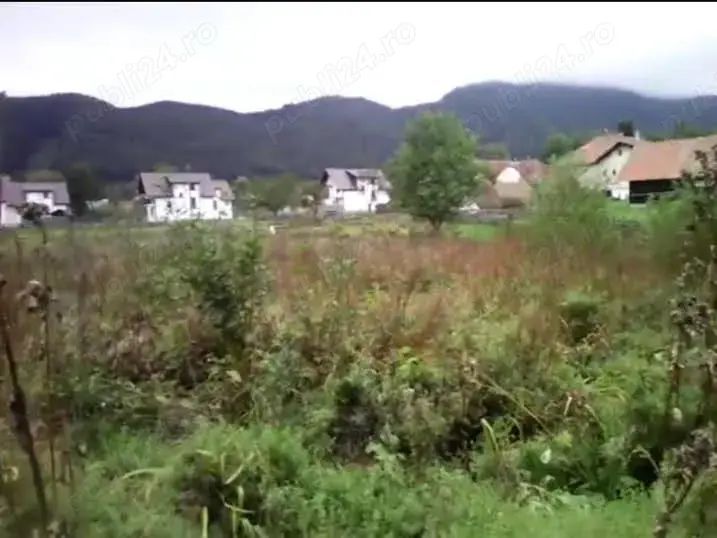 Teren Predelut, Bran - Poză 4