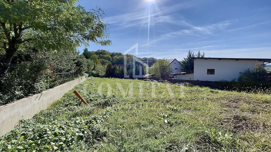 Vilă cu 5 camere zonă aproape de pădure cartier Făget - Poză 4