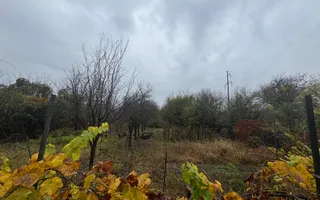 COMISION 0% | 2 Case Individuale | Zona Freidorf | 5 Camere | - Poză 22