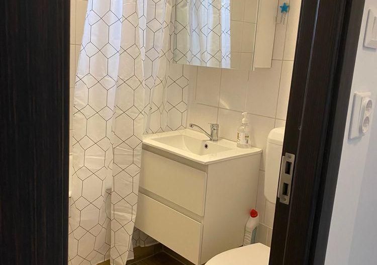 AP. 2 CAMERE PIATA SUDULUI, CAT-FRIENDLY, PRIMA INCHIRIERE, METROU - Poză 8