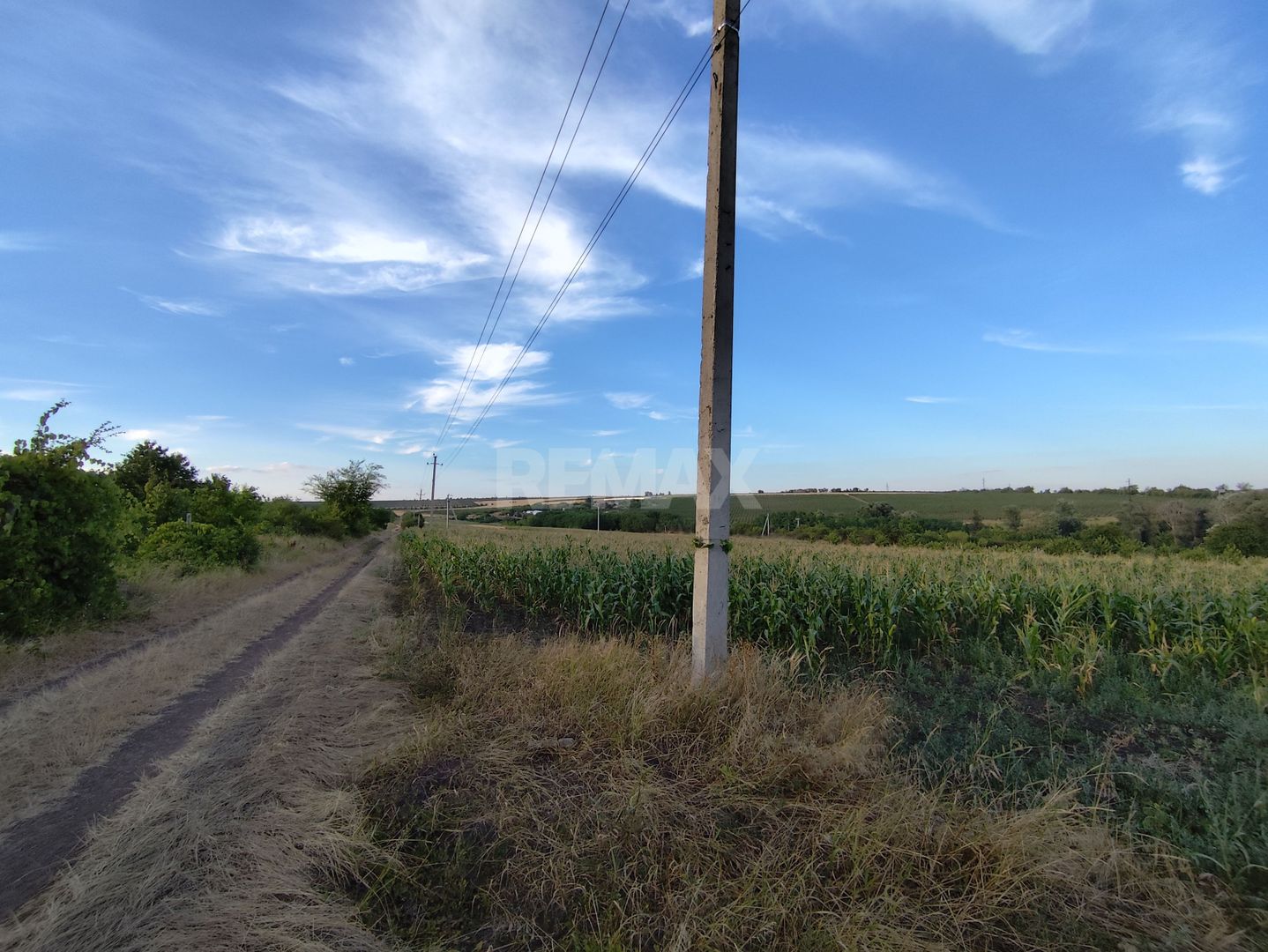 Teren cu destinaţie grădină com. Budești, Mun. Chişinău - Poză 2