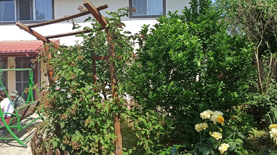 vila indiv+1198mp teren/pe DN4(sosBucuresti) in Frumusani/jud.Calarasi - Poză 97