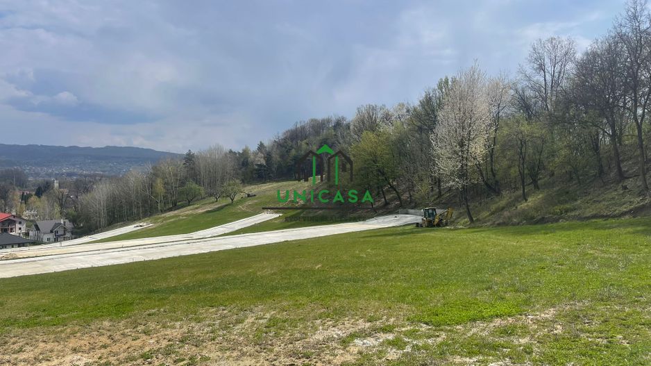 Teren intravilan - Calea Lui Traian - Zona Cetatuia - Poză 9