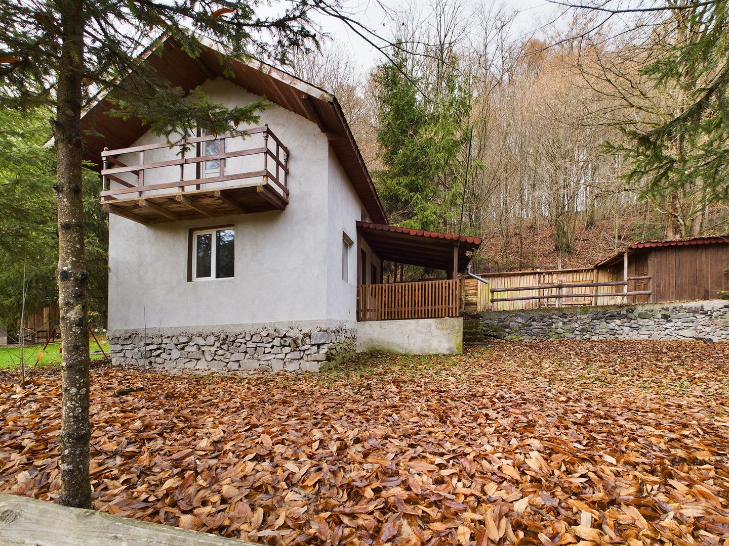 Casă de vacanța în Rădești jud.Arad - Poză 1