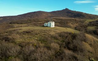 Castel cu vedere panoramică pe dealul Șiriei - Poză 10