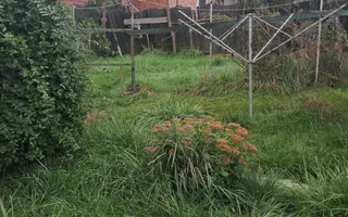 Casă de Vânzare | 3 Camere | 140 MPU | Anexe | Comuna Rosia - Poză 16