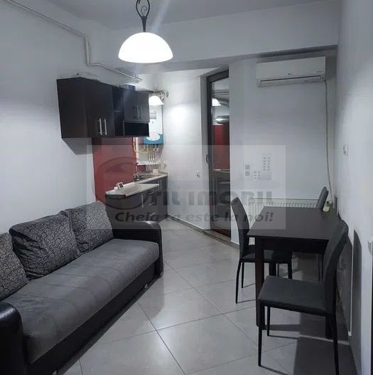 Apartament 1 camera Lazar Residence - 399 euro - Poză 5