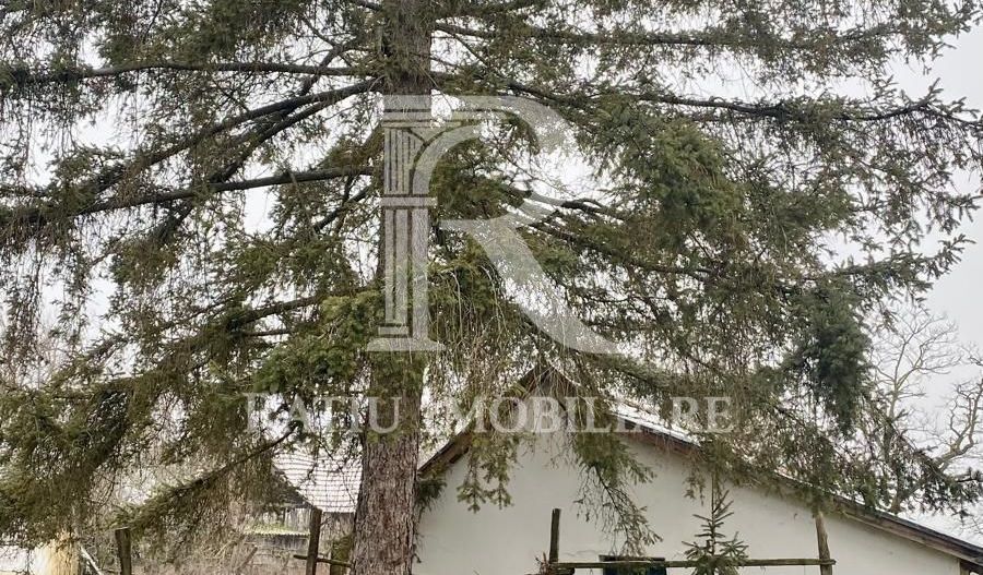 Casă din cărămidă | Teren 2000 mp|Anexe tradiționale | Bojt - Poză 11