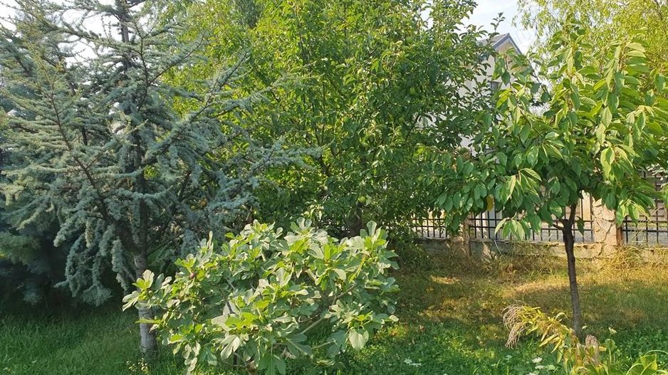 De vanzare teren 562mp + foisor si beci, Bragadiru - Poză 7