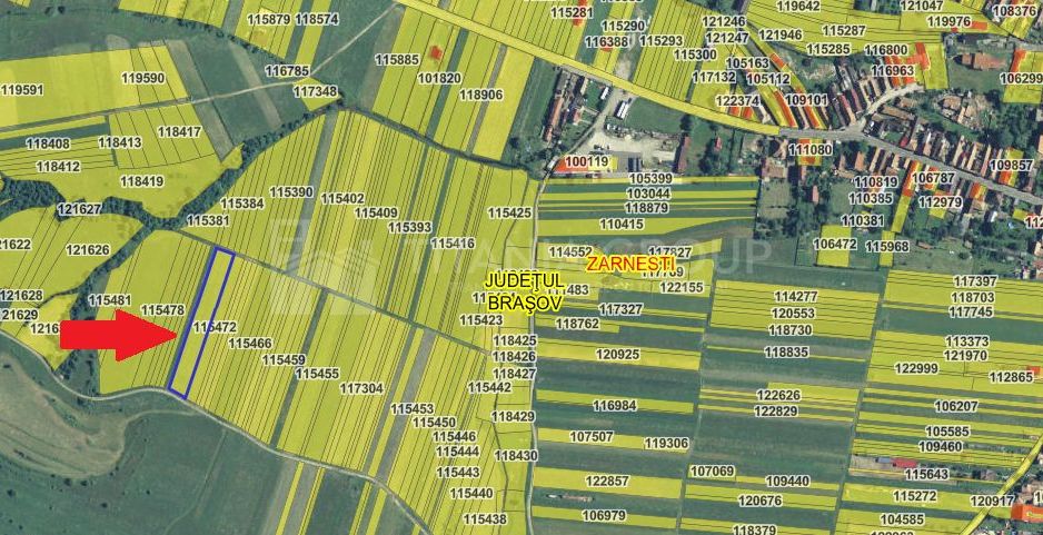 Teren intravilan, 2548 mp, cu priveliște superbă - Zărnești - Poză 10