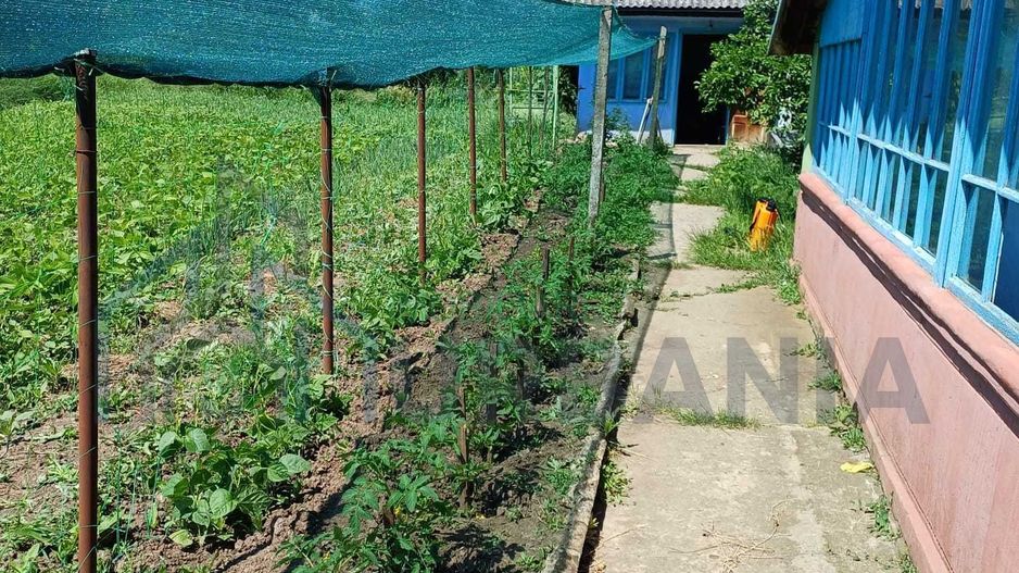 Casă locuibilă cu 3 camere și teren 4000 mp, Popesti, Iași - Poză 2