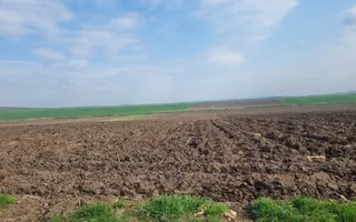 TEREN DE VÂNZARE ȘURA MICĂ 10.000 MP | 2 FRONTURI STRADALE, INVESTIȚIE - Poză 14