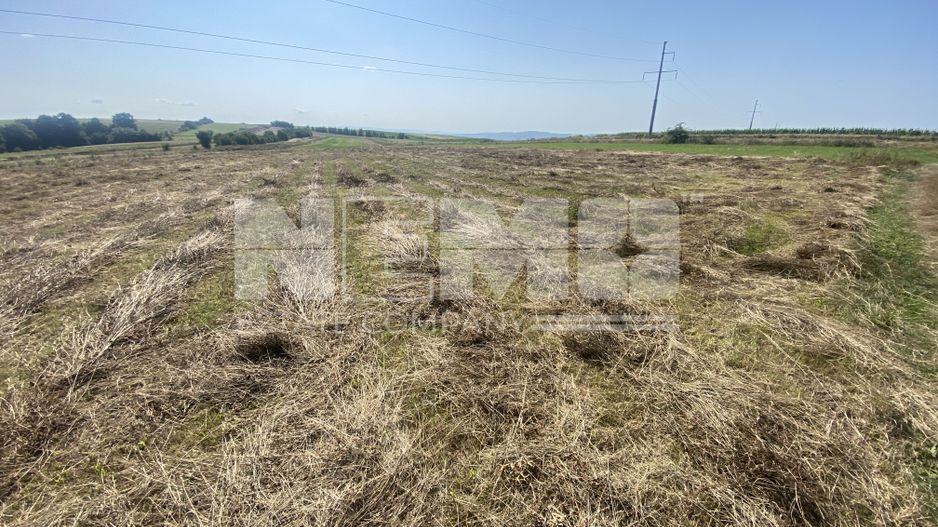 Teren Tarinca | 3400 MP | Front 24 Metri - Poză 1