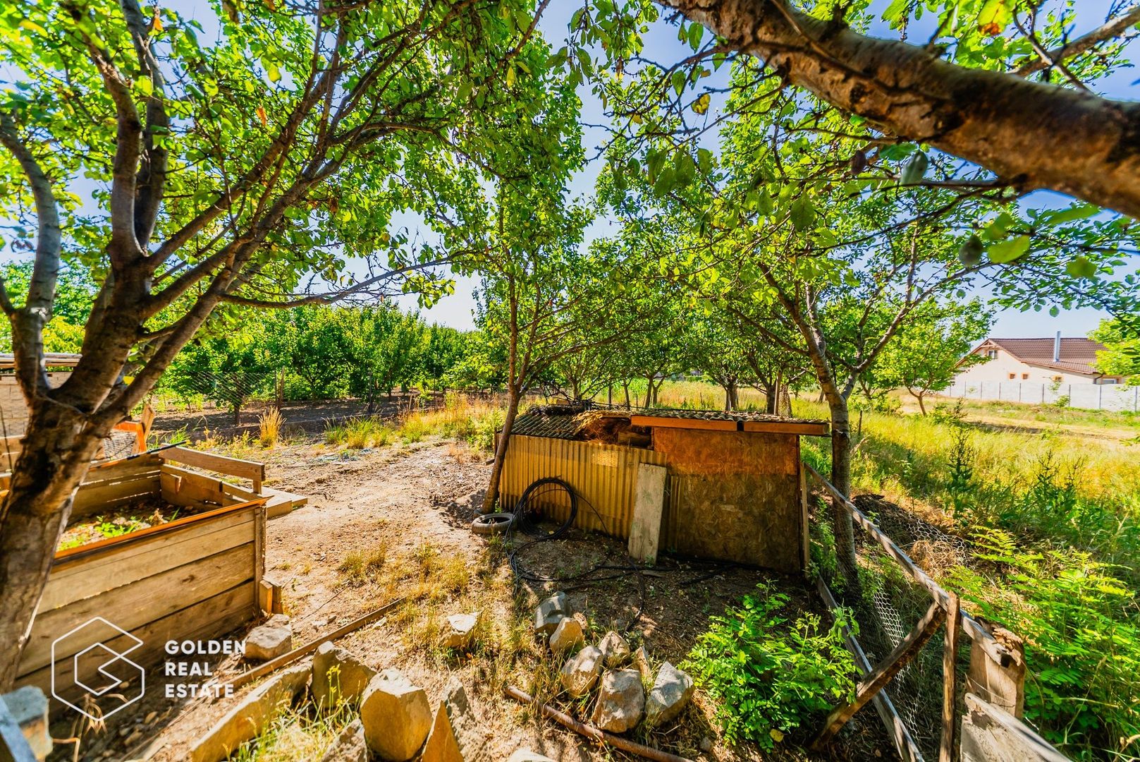 Casa situata in Pecica, 1602 mp - Poză 22