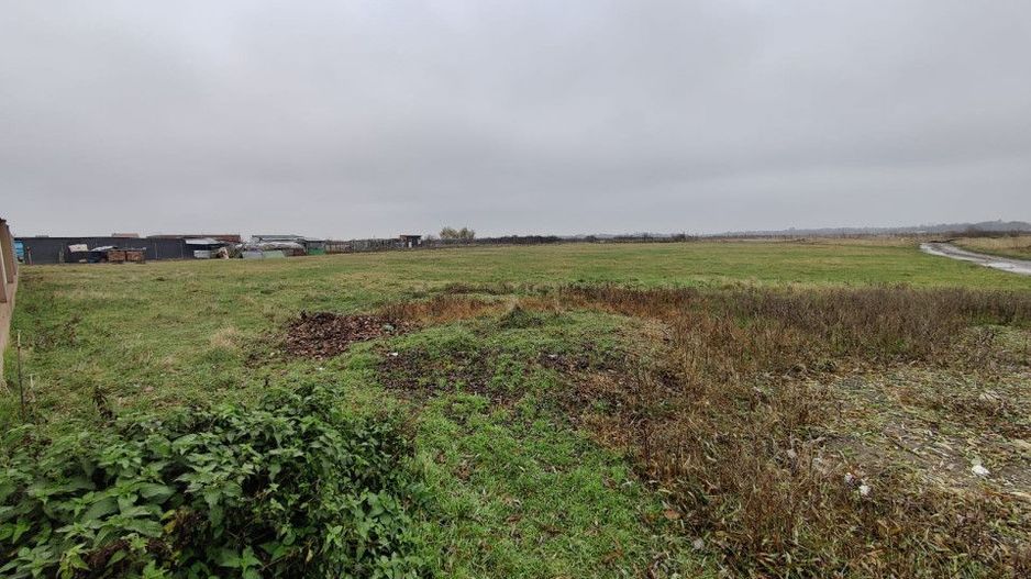 Teren 4588 mp, Remetea Mare Comision 0% - Poză 5