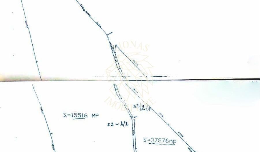 Teren 20 Ha-impadurit-ideal investitie, Fonduri Europene-Dumitra - Poză 3