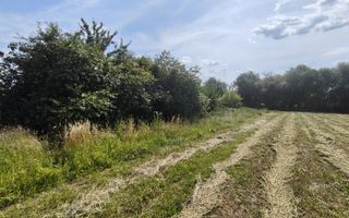 Teren de 11.000 mp cu casă și teren agricol | La 40 km de București | - Poză 15