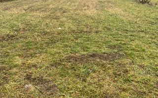 Teren Burdujeni | Zona Tarinca | 41 Ari - Poză 2