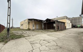 Inchiriere Clădire Producție, Depozitare 278 mp -Teren 1380 mp - Carei - Poză 10