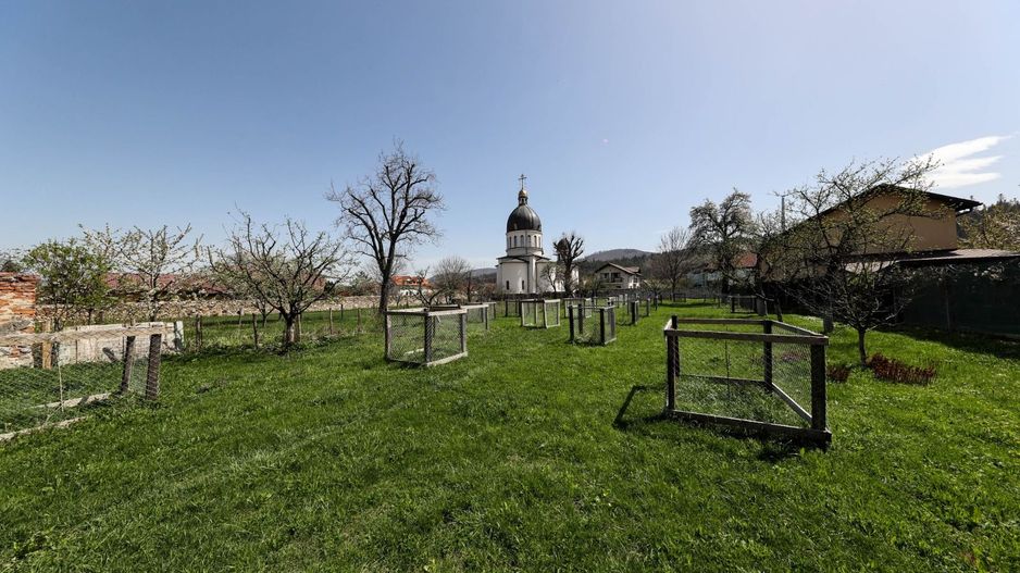 Casă Săsească Autentică cu Șură Impresionantă în Cristian – Teren 2729mp - Poză 12