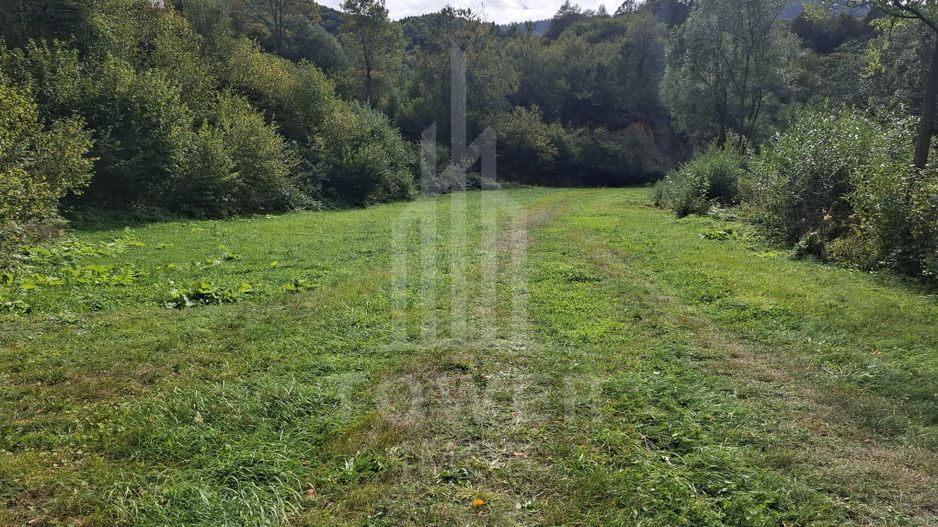 Teren Intravilan de Vânzare – 3622 mp – Râu Sadului - Poză 9