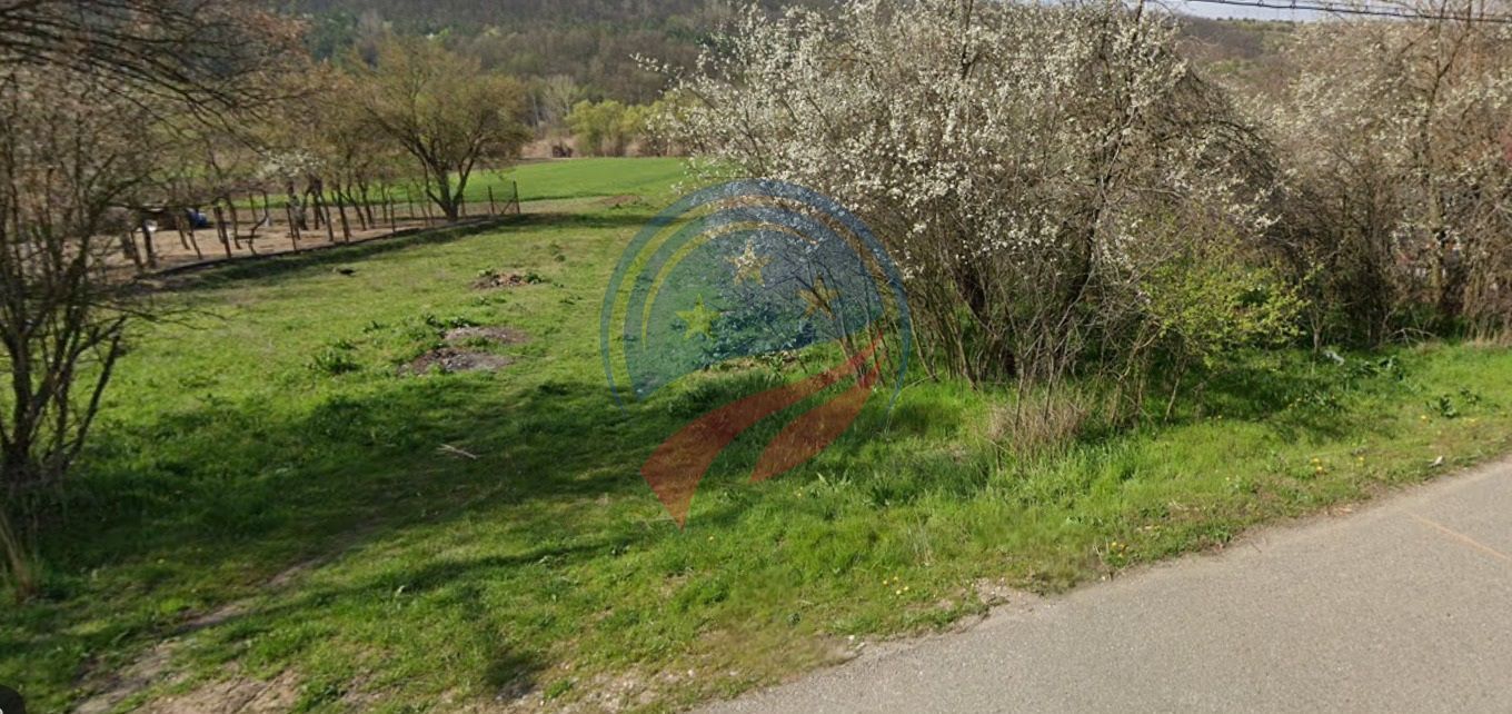 TEREN DE VANZARE IN BRADESTII BATRANI  -4300 mp intravilan - Poză 1