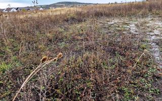 Teren extravilan, pretabil  construcție case/sediu logistic. - Poză 1