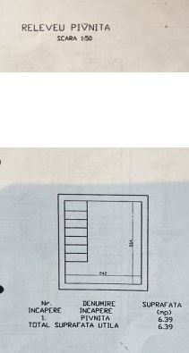 Vila P+1 Craiova central - Poză 11