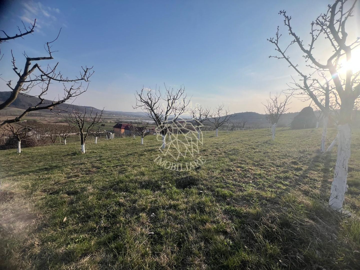 Teren 3100 mp-livada-ideal casa-Mititei - Poză 6