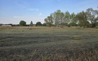 Teren intravilan 6.514mp | 39m front stradal | Ciocaia | Săcuieni - Poză 8