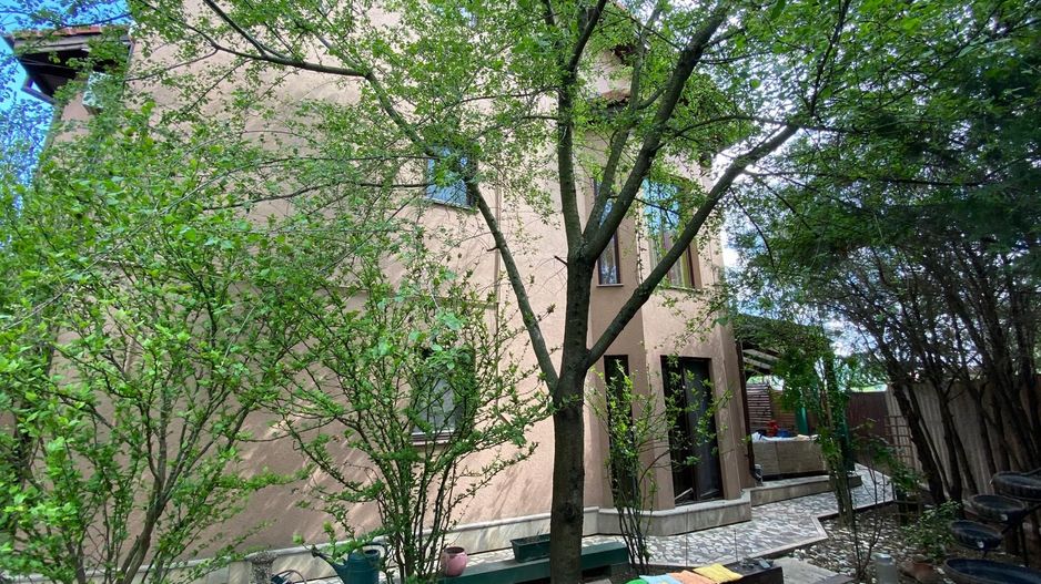 Vila 8 camere | padurea Baneasa | teren 383 mp - Poză 19