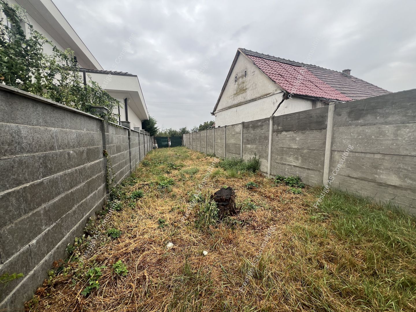 Teren 1409mp | Drum acces 4.6ml | Ghiroda-Scoala Gimnaziala - Poză 3