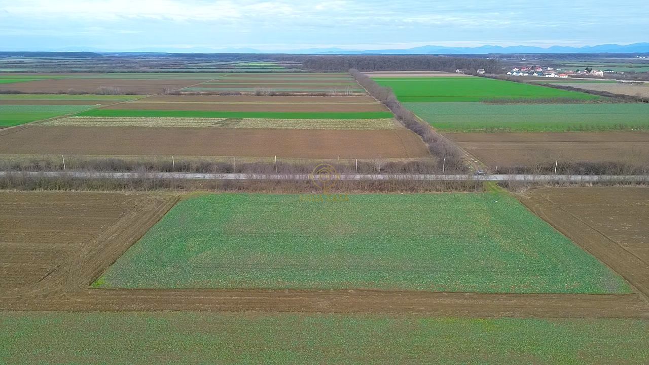 Teren 6600MP Cu Front Stradal 101 M La Intrare in Lazuri Str Botizului - Poză 6